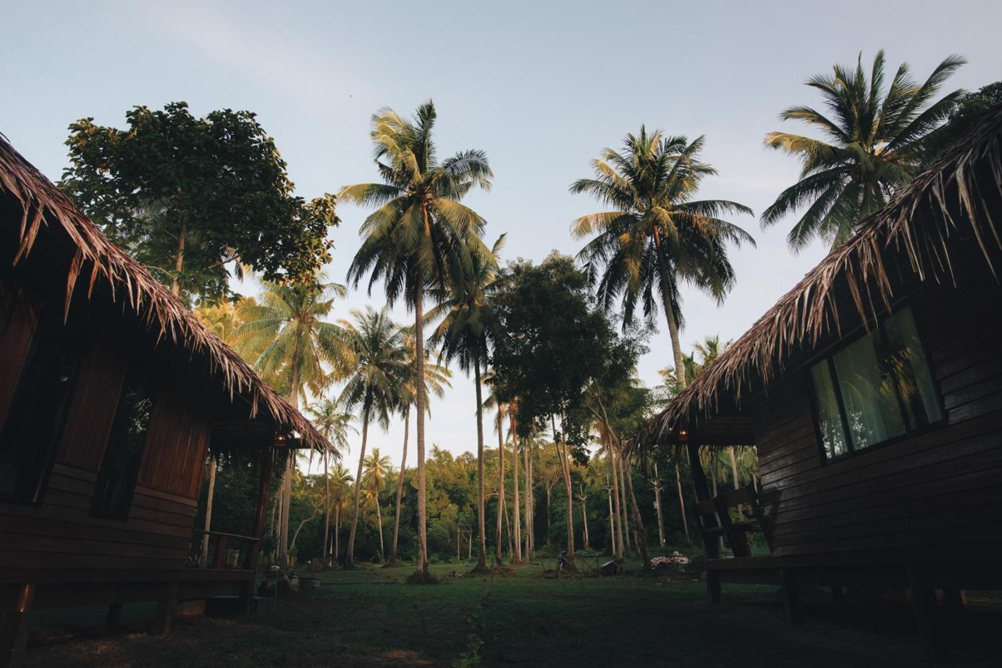 Coco Canopy Boutique Resort Csum-sziget Kültér fotó